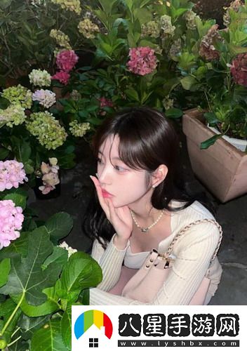 內(nèi)褲亞洲碼和歐洲碼一樣嗎