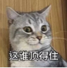 游時光機(jī)