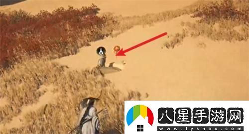 燕云十六聲迷津渡妙妙廟在哪