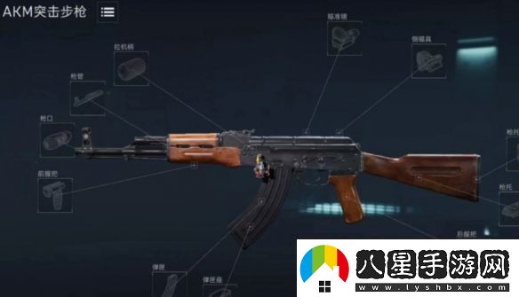 三角洲行動(dòng)烽火地帶Akm性?xún)r(jià)比改槍推薦