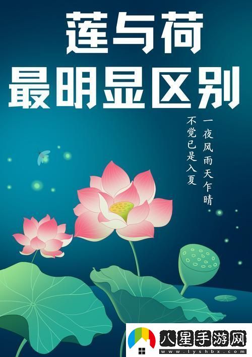 倒插蓮花男女之間的寓意更新了