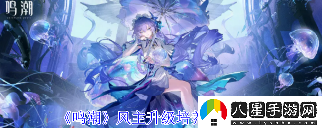 鳴潮風(fēng)主升級培養(yǎng)材料一覽