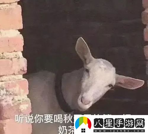 2023年秋天的第一杯奶茶是幾月幾號