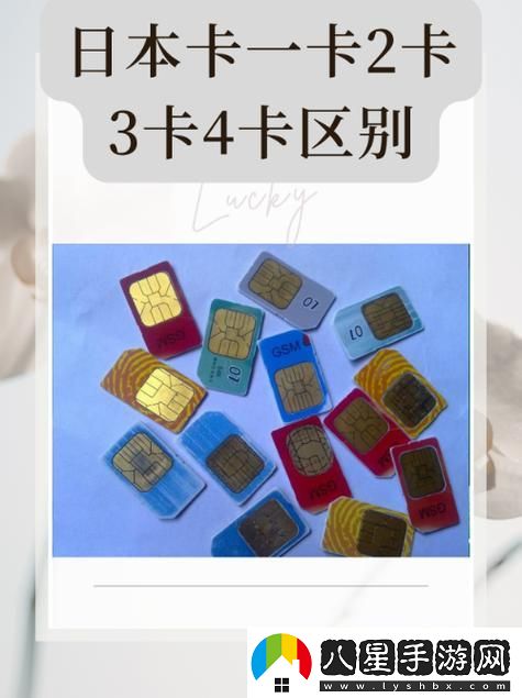 探索“精品1卡二卡三卡四亂碼”的魅力與奧秘
