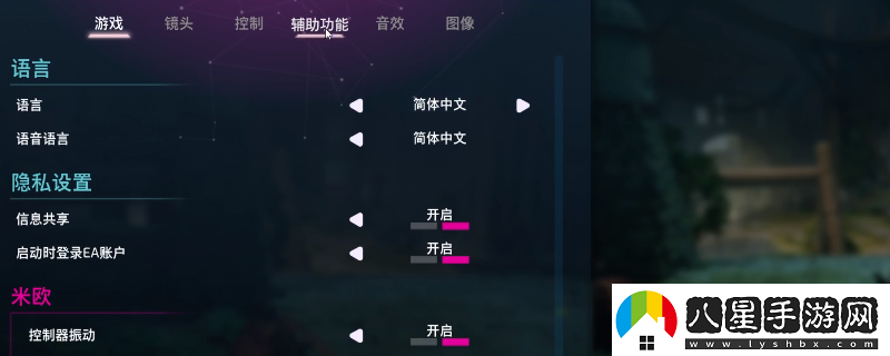 雙影奇境輔助選項作用介紹