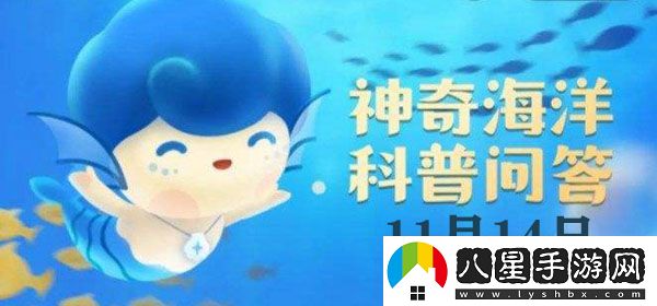 紅樹林發(fā)達的根系有以下哪種作用