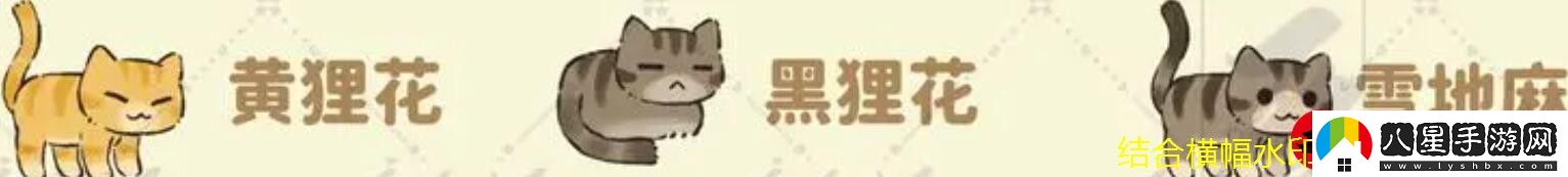 爐石傳說凱爾薩斯之怒亂斗攻略解析