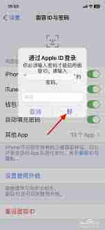 蘋果商店怎么人臉識(shí)別登錄