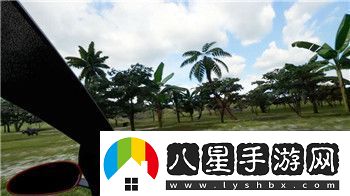新劍俠情緣裝備五行激活