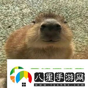 抖音水豚精神癥狀是什么梗