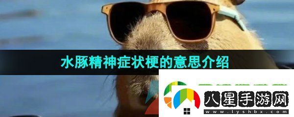 抖音水豚精神癥狀是什么梗