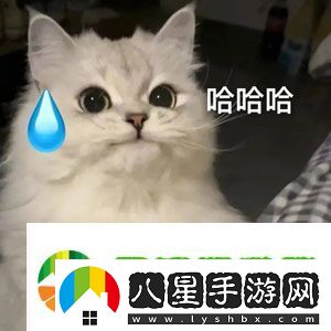 哦哈喲學(xué)妹是什么梗