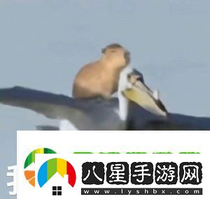 抖音水豚精神癥狀是什么梗