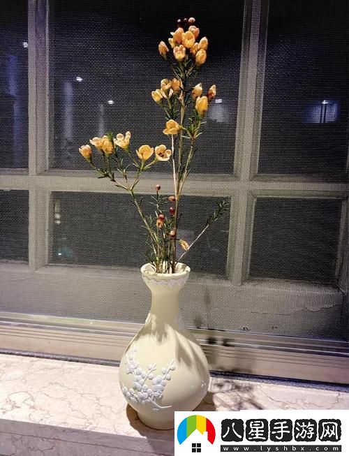 重新審視“金花瓶楷梅花2正片”的藝術(shù)價(jià)值與文化內(nèi)涵